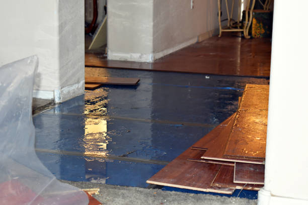 Professional Water Extraction technician working in Viola, IL